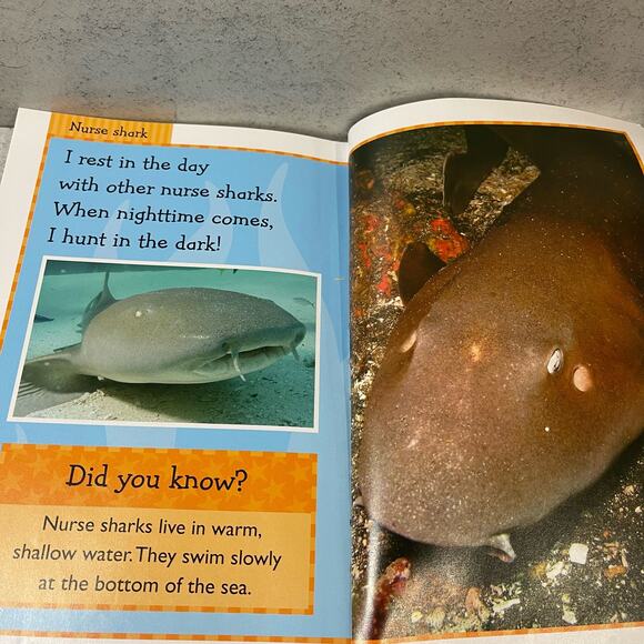 Sharks (Ready to Read) - Paperback by Sarah Creese - Level 2 - Very Good (VG) - Picture 5 of 5